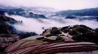 Jinkeng Rice Terraces